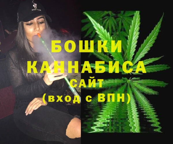 бошки Гусев